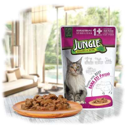 Kitten Wet Food With Sterilesed Beef in Jelly - 22 PCS