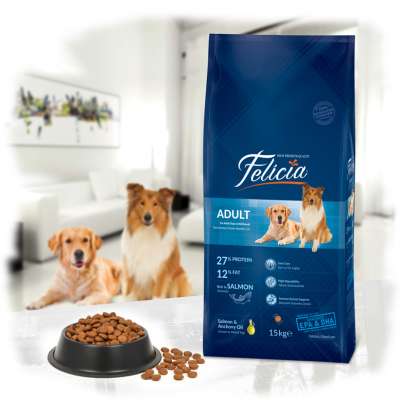 Felicia Dry Dog Food Adult Salmon 15 kg